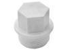 ППР Заглушка С НАРУЖНОЙ РЕЗЬБОЙ 32х1" (Белая) фото  в интернет-магазине Санкомп