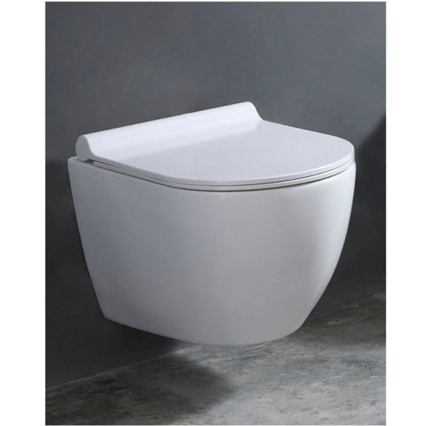 Унитаз с быстросъемным сиденьем микролифт в комплекте инсталляция с кнопкой 22447  фото  в интернет-магазине Санкомп