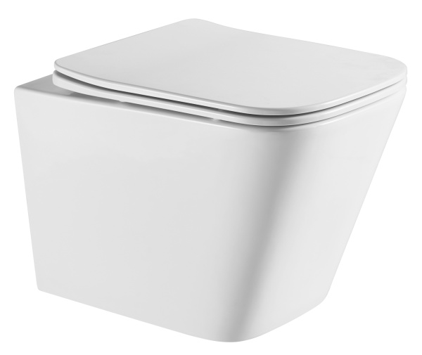 Унитаз подвесной БЕЗОБОДКОВЫЙ с сиденьем микролифт с инсталляцией, БЕЗ КЛАВИШИ 22429   фото  в интернет-магазине Санкомп