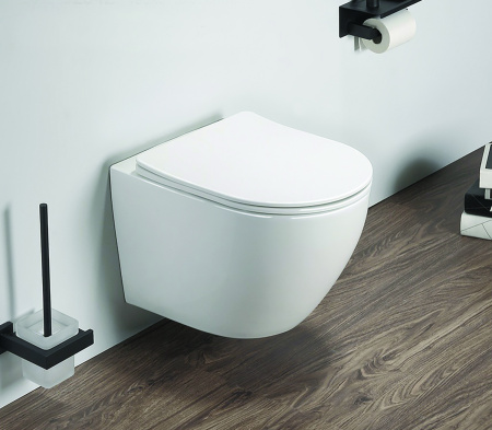 Унитаз с быстросъемным сиденьем микролифт инсталляция с клавишей смыва 22469  фото  в интернет-магазине Санкомп