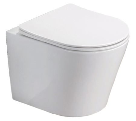 Унитаз подвесной БЕЗОБОДКОВЫЙ с быстросъемным сиденьем микролифт, инсталляция с кнопкой 22457  фото  в интернет-магазине Санкомп