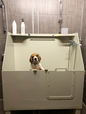 Ванна для груминга для собак с экраном 1250х650х1500 мм СО СМЕСИТЕЛЕМ И 2 ПОДДОНАМИ, 18260 фото  в интернет-магазине Санкомп