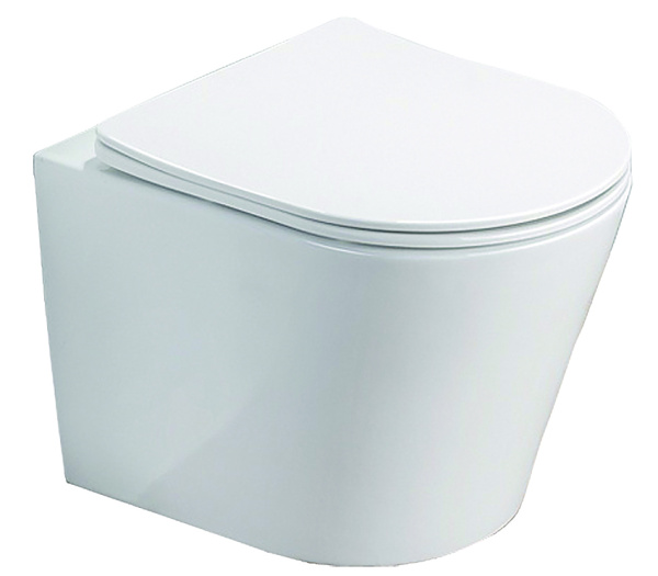 Унитаз БЕЗОБОДКОВЫЙ в комплекте с быстросъемным сидением микролифт, инсталляция БЕЗ КЛАВИШИ 22456 фото  в интернет-магазине Санкомп