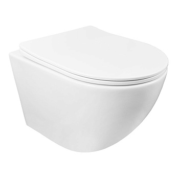 Унитаз подвесной БЕЗОБОДКОВЫЙ (490х370х370) С СИДЕНЬЕМ МИКРОЛИФТ 22010 фото  в интернет-магазине Санкомп