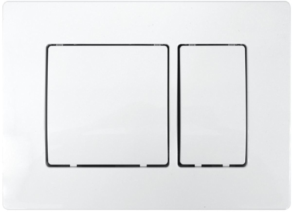 Кнопка смыва двойная, белая 22423 фото  в интернет-магазине Санкомп