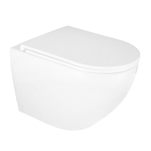 Унитаз подвесной БЕЗОБОДКОВЫЙ (540x365x425) С СИДЕНЬЕМ МИКРОЛИФТ 22593  фото  в интернет-магазине Санкомп