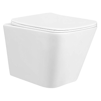 Унитаз подвесной БЕЗОБОДКОВЫЙ (480х350х363) С СИДЕНЬЕМ МИКРОЛИФТ 22011 фото  в интернет-магазине Санкомп