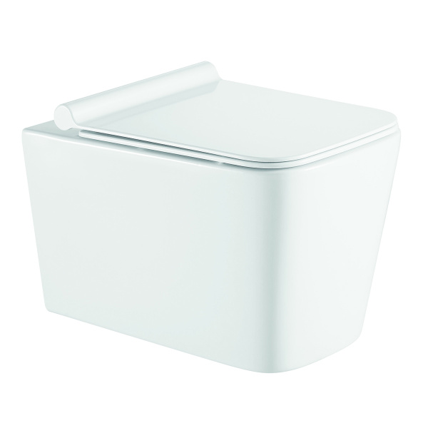 Унитаз подвесной 530x360x365 с быстросъемным сиденьем микролифт инсталляция 3/6л, БЕЗ КЛАВИШИ 22462 фото  в интернет-магазине Санкомп