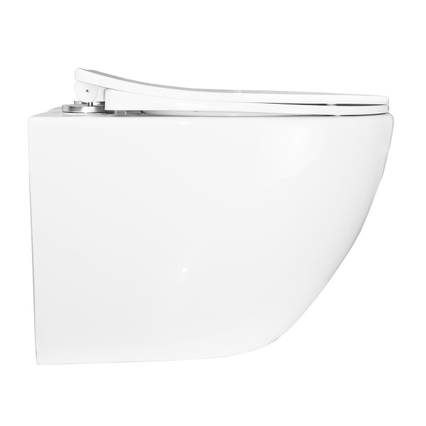 Унитаз подвесной БЕЗОБОДКОВЫЙ (360х480х350) С СИДЕНЬЕМ МИКРОЛИФТ ПОЛИПРОПИЛЕН 22569  фото  в интернет-магазине Санкомп