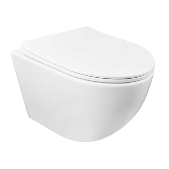 Унитаз подвесной БЕЗОБОДКОВЫЙ (370х490х360) С СИДЕНЬЕМ МИКРОЛИФТ 22572  фото  в интернет-магазине Санкомп