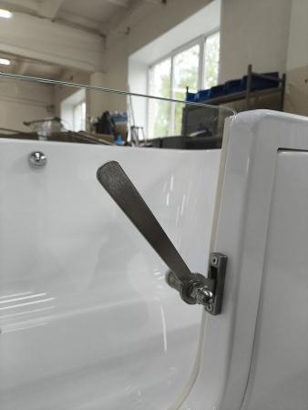 Ванна для инвалидов и пожилых со стеклянной дверцей лежачая левая 1500х750х545 мм, 22778 фото  в интернет-магазине Санкомп