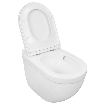 Унитаз подвесной БЕЗОБОДКОВЫЙ (520х360х410) смыв "Торнадо" СИДЕНЬЕМ МИКРОЛИФТ 22579  фото  в интернет-магазине Санкомп