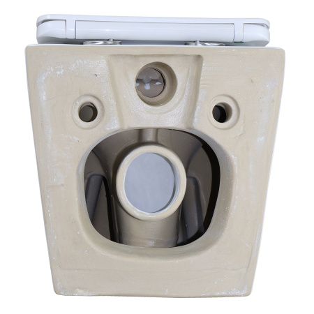 Унитаз подвесной БЕЗОБОДКОВЫЙ (480х350х363) С СИДЕНЬЕМ МИКРОЛИФТ 22011 фото  в интернет-магазине Санкомп