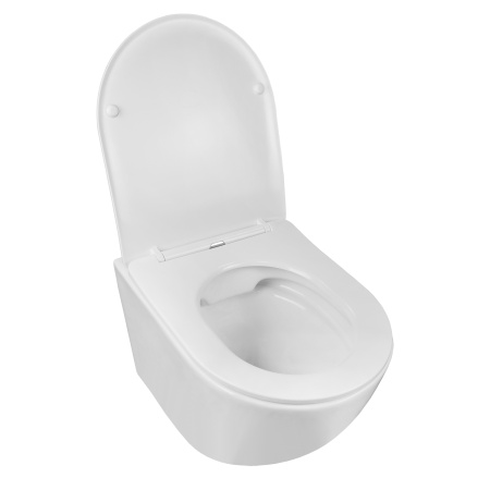 Унитаз с быстросъемным сиденьем микролифт инсталляция с клавишей смыва 22469  фото  в интернет-магазине Санкомп