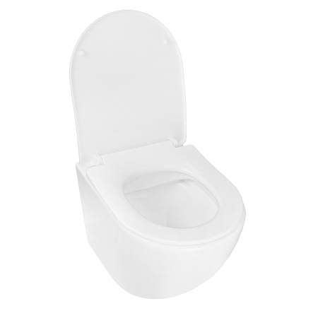 Унитаз подвесной БЕЗОБОДКОВЫЙ (360х480х350) С СИДЕНЬЕМ МИКРОЛИФТ ПОЛИПРОПИЛЕН 22569  фото  в интернет-магазине Санкомп
