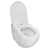 Унитаз подвесной БЕЗОБОДКОВЫЙ (520х360х410) С СИДЕНЬЕМ МИКРОЛИФТ 22568  фото  в интернет-магазине Санкомп