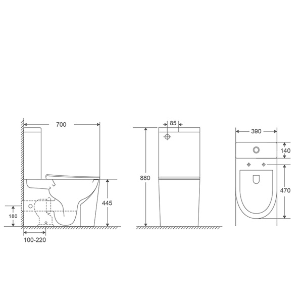 Унитаз-компакт для инвалидов МГН, Горизонтальный, 390х700х880 (450), 2 РЕЖИМА, СИДЕНЬЕ А/Б, 27155 фото  в интернет-магазине Санкомп