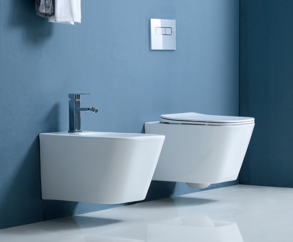 Унитаз подвесной БЕЗОБОДКОВЫЙ (360х510х350) С СИДЕНЬЕМ МИКРОЛИФТ 22602  фото  в интернет-магазине Санкомп