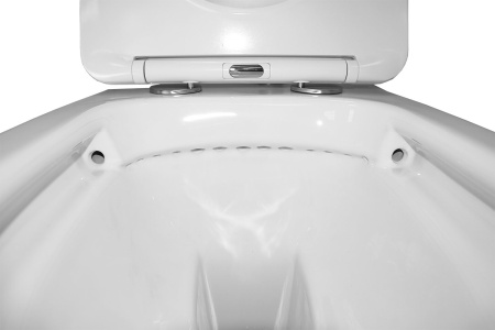 Унитаз подвесной БЕЗОБОДКОВЫЙ (480х365х360) С СИДЕНЬЕМ МИКРОЛИФТ 22551  фото  в интернет-магазине Санкомп