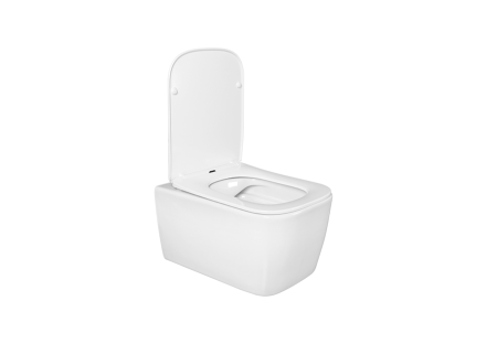 Унитаз подвесной БЕЗОБОДКОВЫЙ (495х350х260) С СИДЕНЬЕМ МИКРОЛИФТ, 24351  фото  в интернет-магазине Санкомп